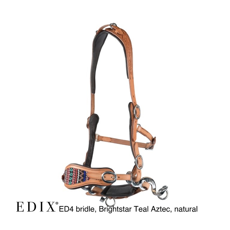 ED4 Brightstar bitless bridle