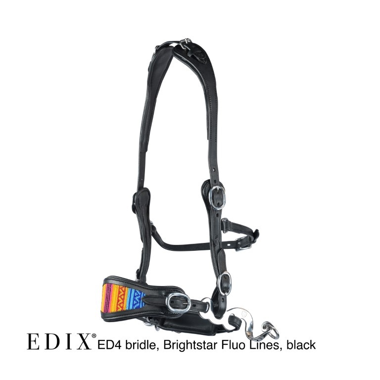 ED4 Brightstar bitless bridle