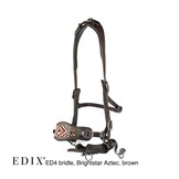 ED4 Brightstar bitless bridle