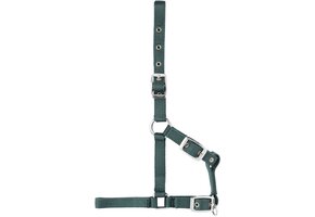 Foal halter dark green