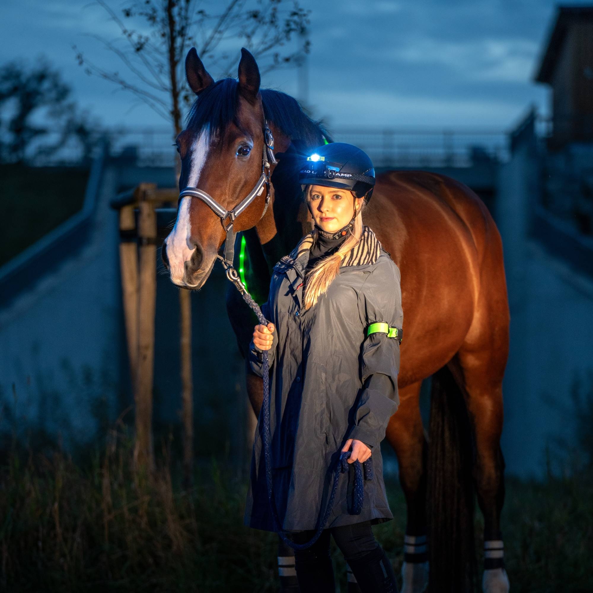LED lighting set horse riding 3 pieces