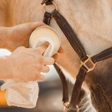 Leather & Care leather wax