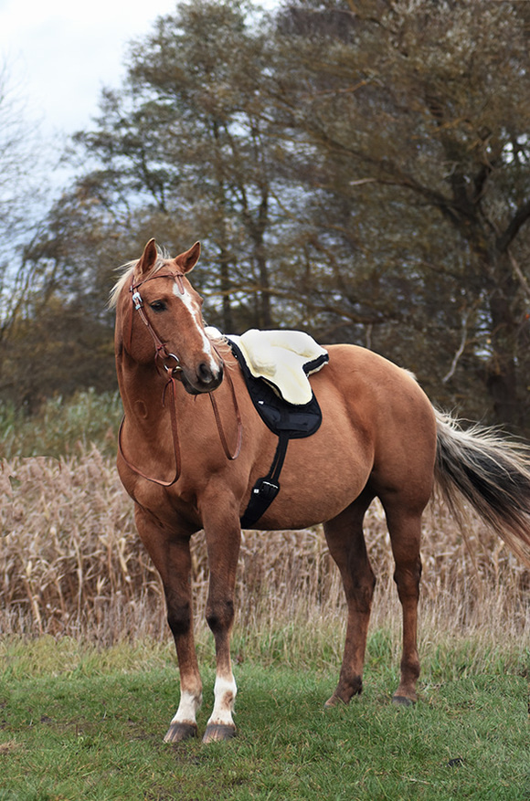 Bareback pad lambskin
