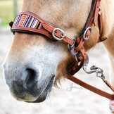 Brightstar hackamore bitlooshoofdstel