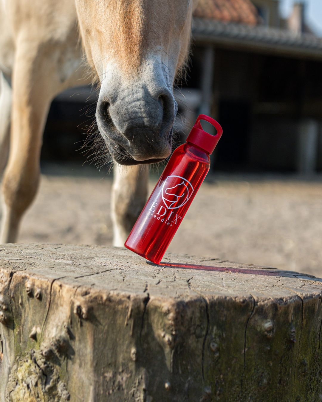 Drinkfles 650ml rood