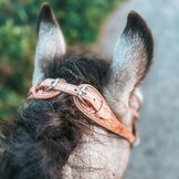 Verbindungsleder für Kopfstück