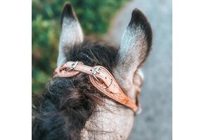 Connector crownstrap