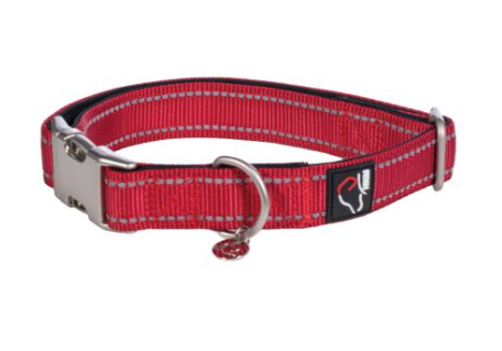Hundehalsband -Anam Cara- Nylon