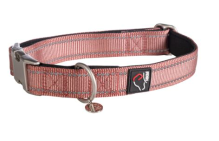 Dog collar -Anam Cara- nylon