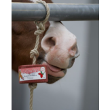 Lick block Lolly Lick Rosehips 750gr