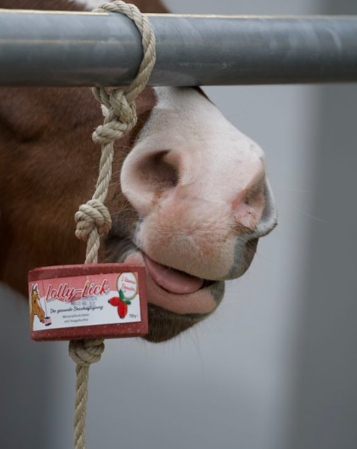 Liksteen Lolly Lick rozenbottel 750gr