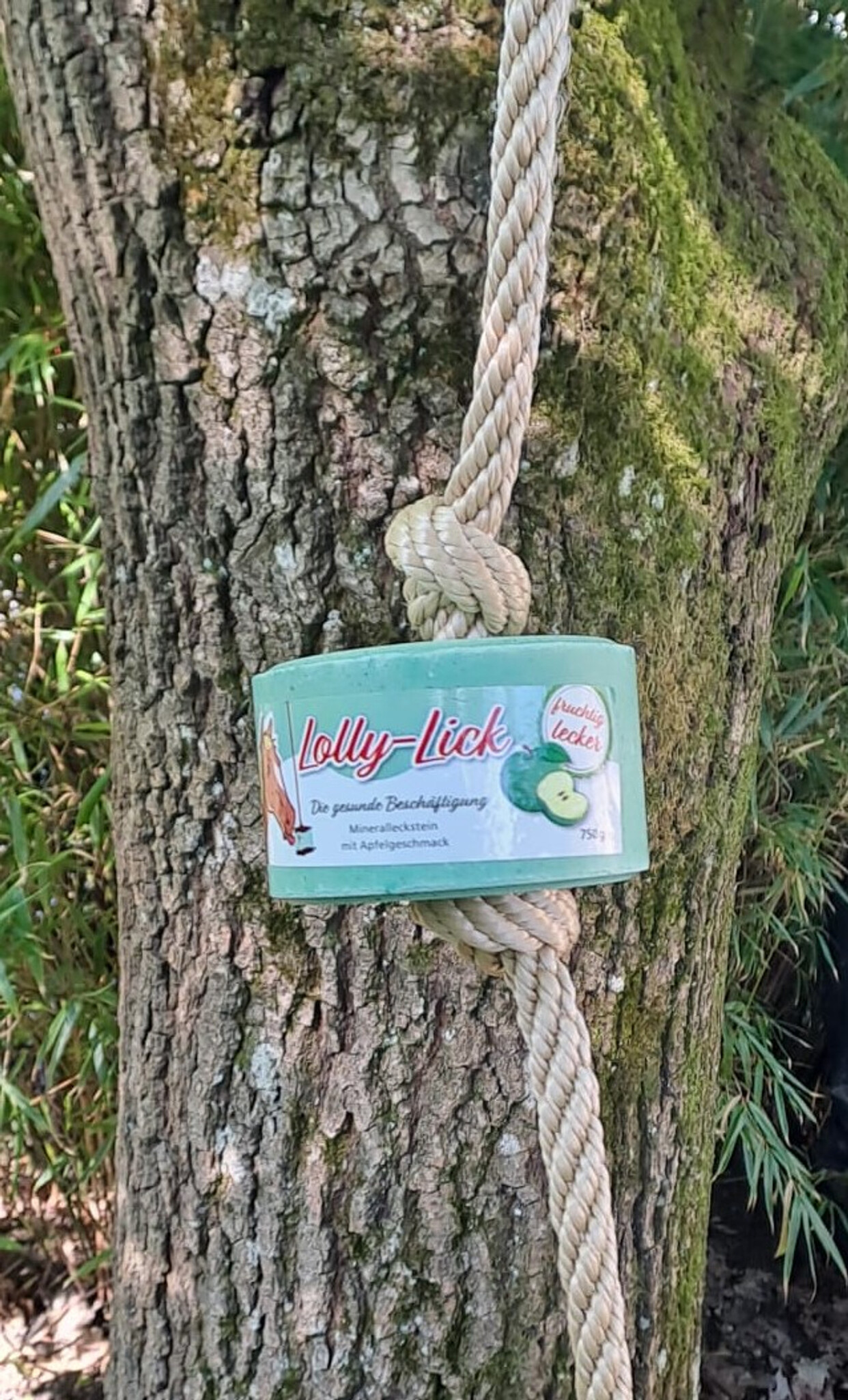 Leckstein Lolly-Lick Apfel 750gr