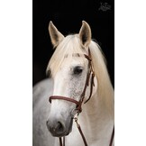 Soft Feel Barock Zaum Punzierung Leder