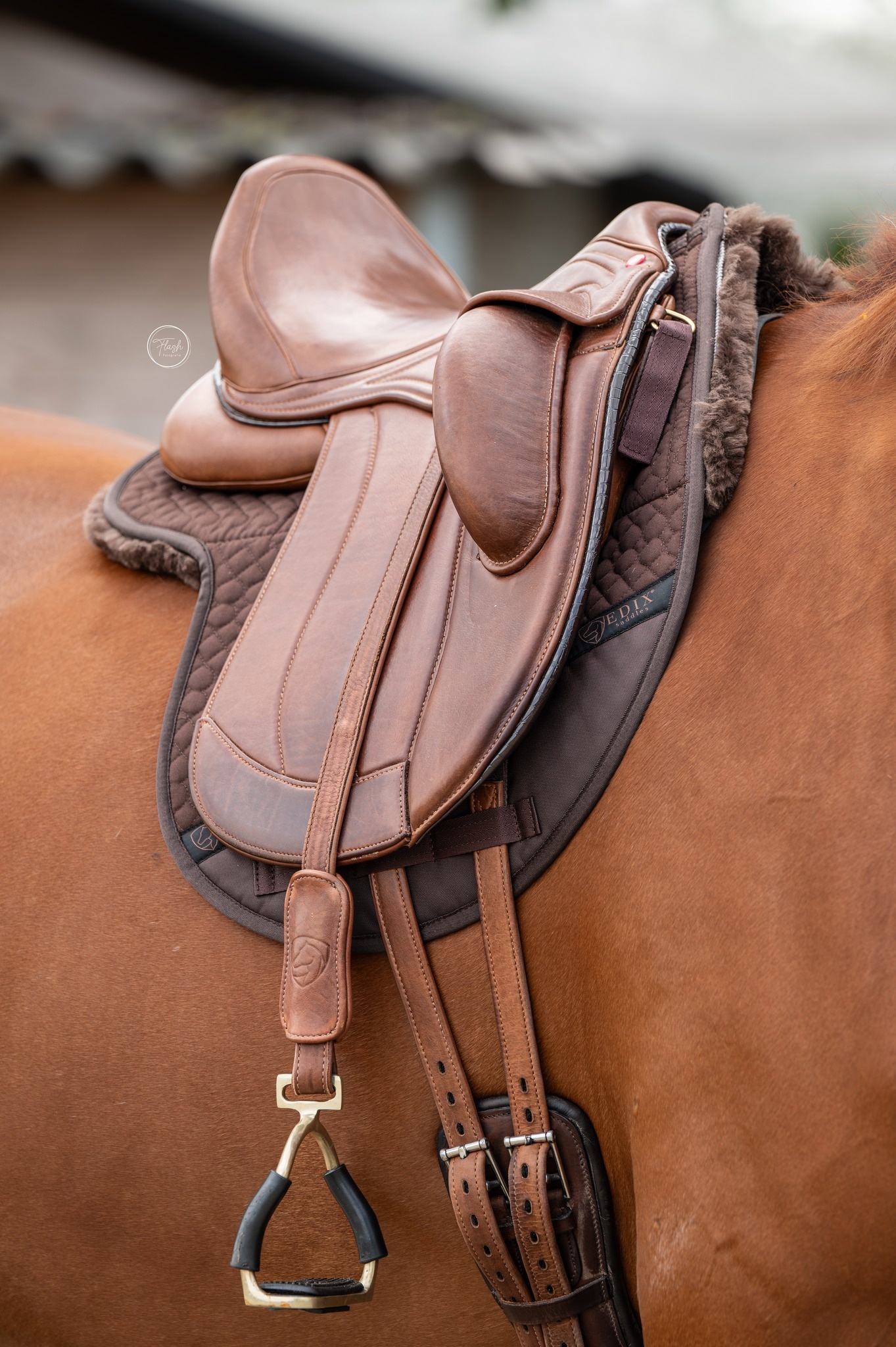 Lammfelle pad DR mit Einlagen Sattelform Merino