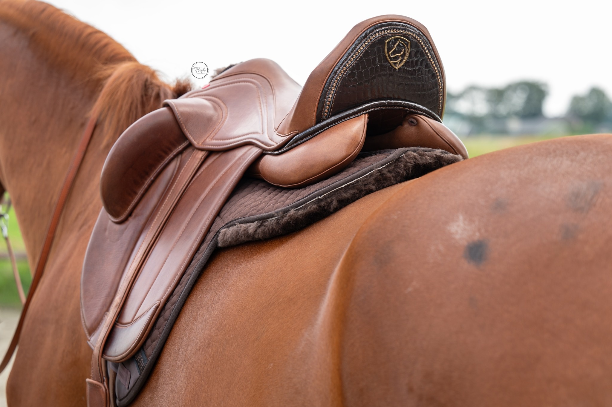 Lammfelle pad DR mit Einlagen Sattelform Merino