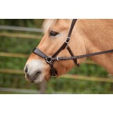 Nyra Sidepull gebisslose Zaumung