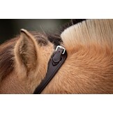 ED2 Nyra bitless bridle