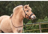 ED2 Nyra bridle
