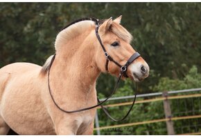 Nyra sidepull hoofdstel