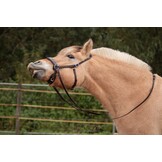 ED2 Nyra bitless bridle