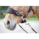 Hackamore bridle ED4-Rose