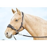 Hackamore bridle ED4-Rose