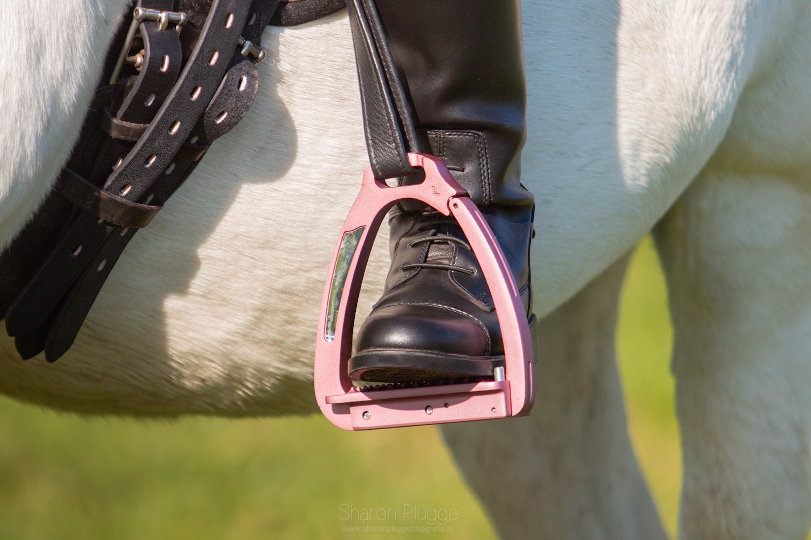 Flair safety stirrups colours