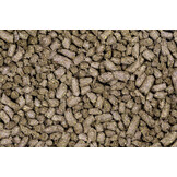 Flaxseed Cubes Leinsamen