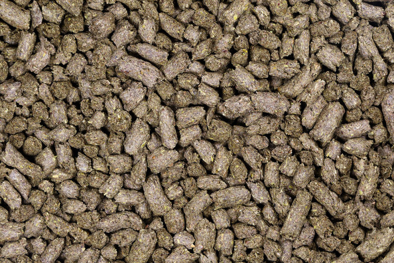 Flaxseed Cubes linseed