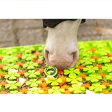 Slowfeeder snuffelmat voor paarden