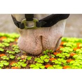 Slowfeeder snuffelmat voor paarden