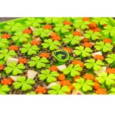 Slowfeeder snuffelmat voor paarden