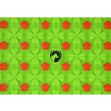 Slowfeeder snuffelmat voor paarden