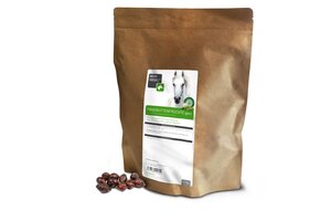 Hagebuttenfrüchte ganz Pferd