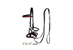 Bitless bridle sidepull Kirsch