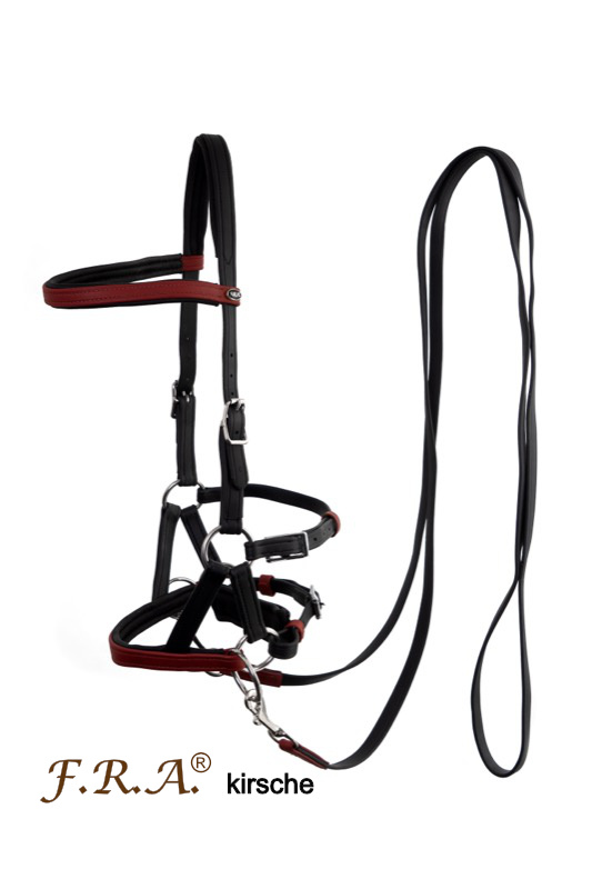 Bitless bridle sidepull Kirsch vegan imitation leather