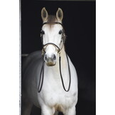 Bitless bridle sidepull Kiona with reins
