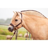 Lederhalfter Kaily anatomisches Kopfstück