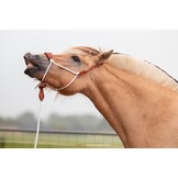 Resi lead rope cotton 2 or 6,8 meters