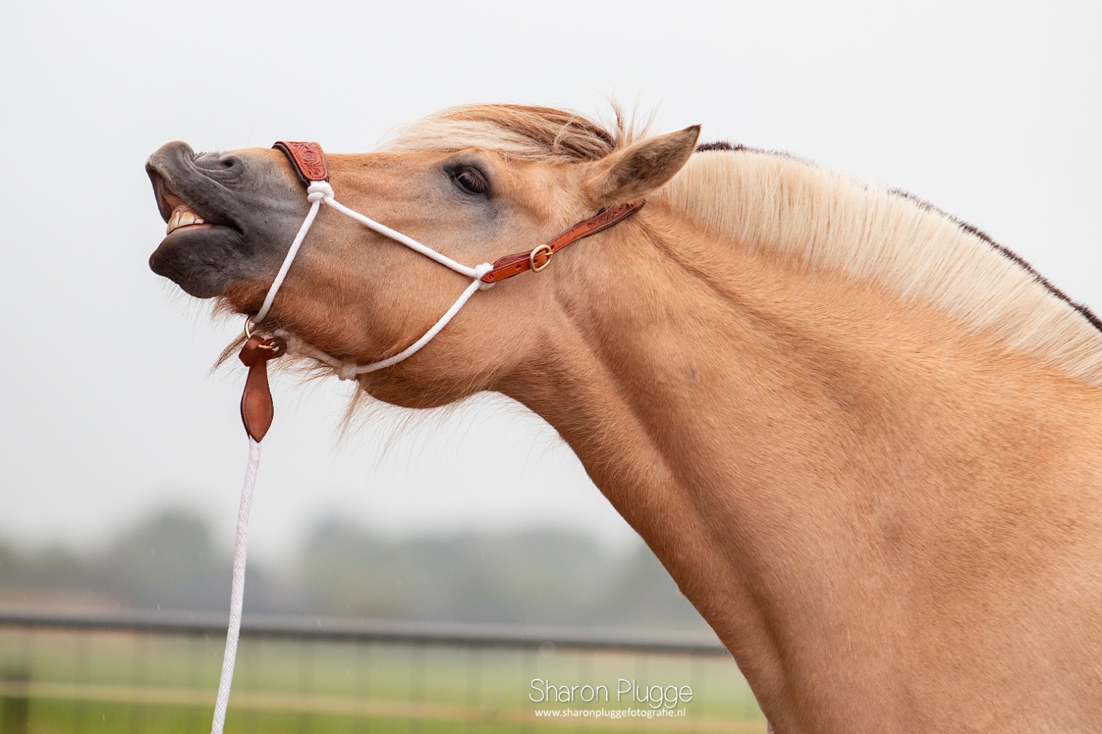 Resi Arbeitsstrick Baumwolle 2 oder 6,8 Meter