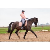 Aqua DR pad met 8 pocket inlages