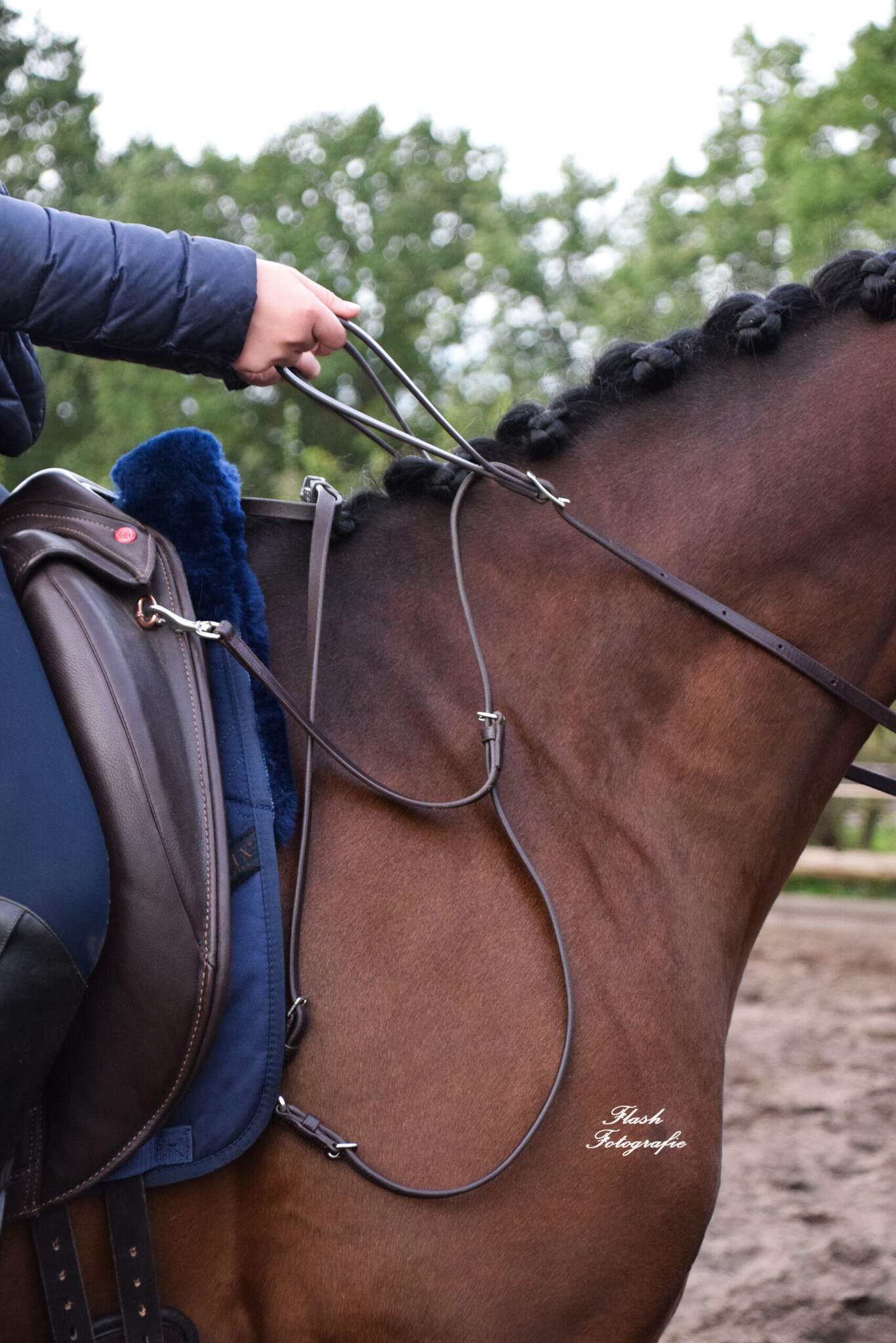 Sicherheitszügel für Kinder und Großpony