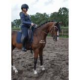 Veiligheidsteugels kids pony