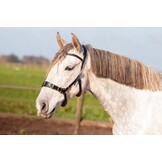 Kappzaum PRO ED-5 mit Anatomisches Kopfstück