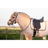 Kappzaum PRO ED-5 mit Anatomisches Kopfstück