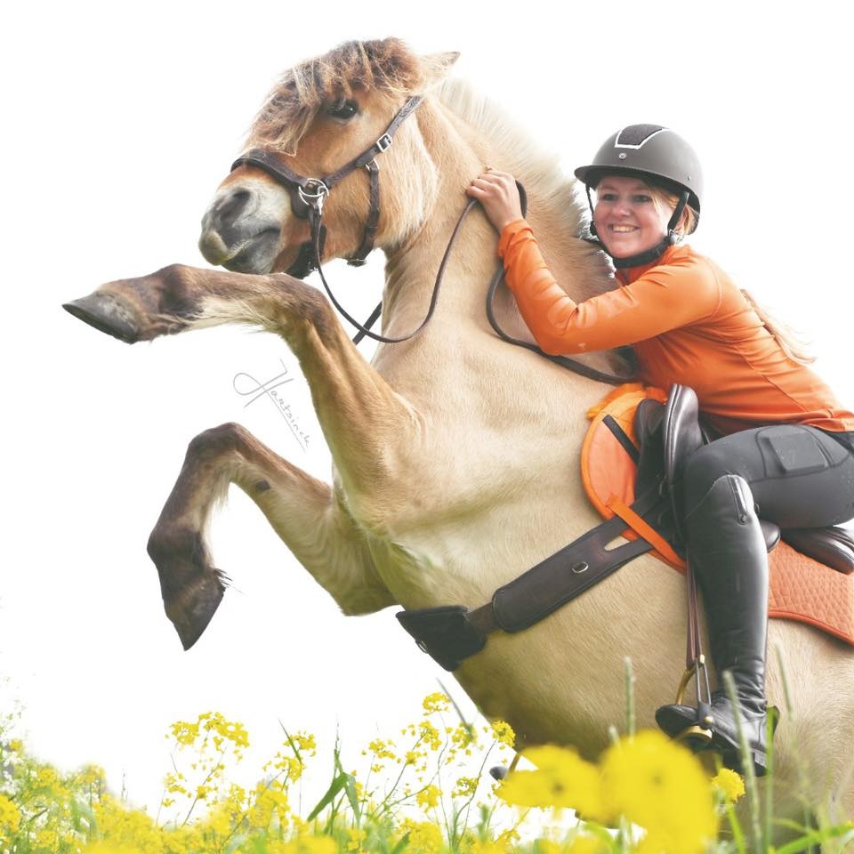 Asymmetrische 3-delige lange singel