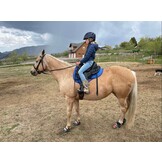 Western pad Billy pony