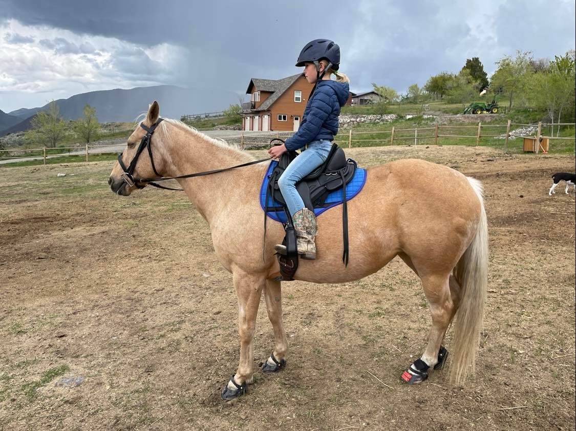 Western pad Billy pony