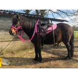 Western pad Billy pony