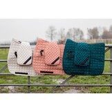 Stijgbeugelhouder aqua